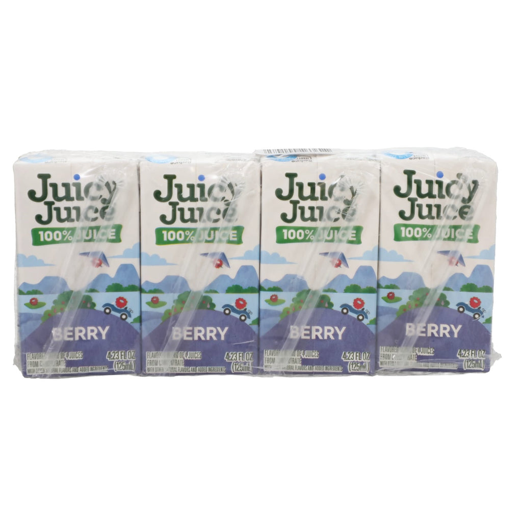 Juicy Juice Berry Flavored Drink, 4-pc Pack.