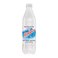 Penafiel Mineral Spring Water, 1-ct.