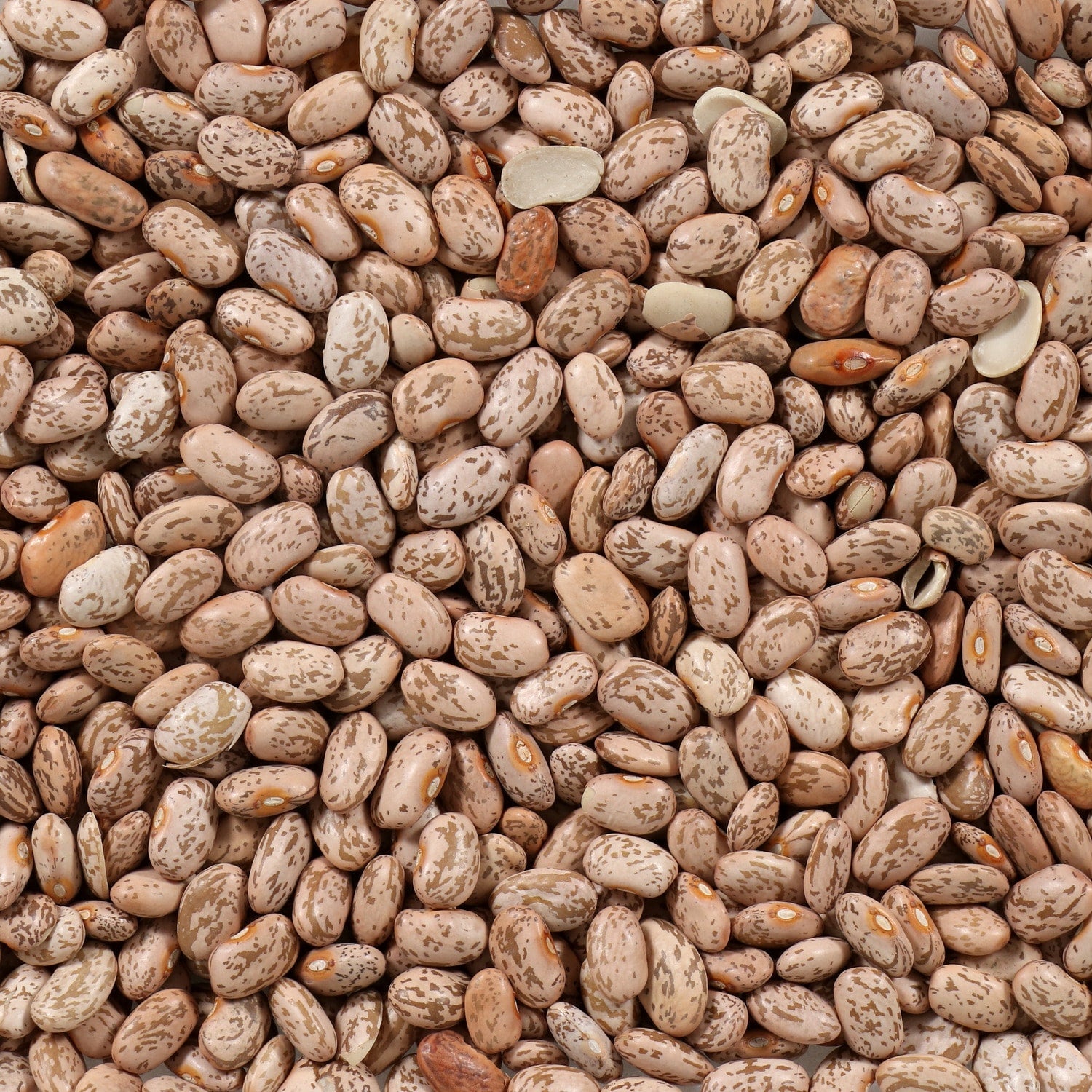 Brown's Best Pinto Beans, 1-ct.