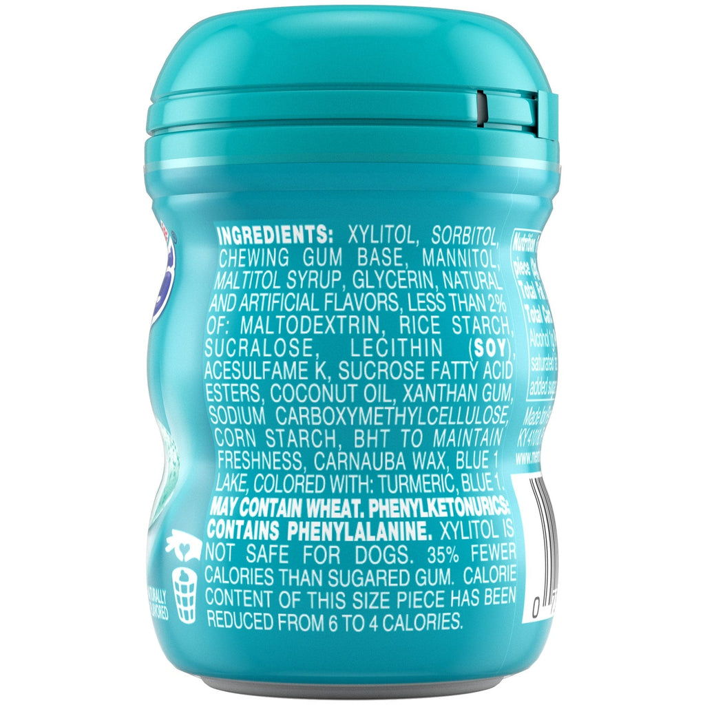 Mentos Sugar Free Wintergreen Fresh Gum Bottle, 1-ct.
